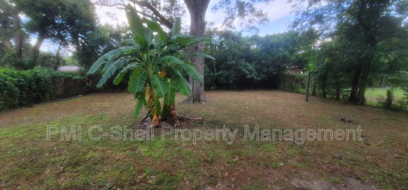 Very Nice 3 Bed 1 Bath Home with Yard property image